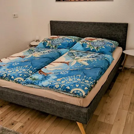 Albbruck/albert * 阿尔布鲁克