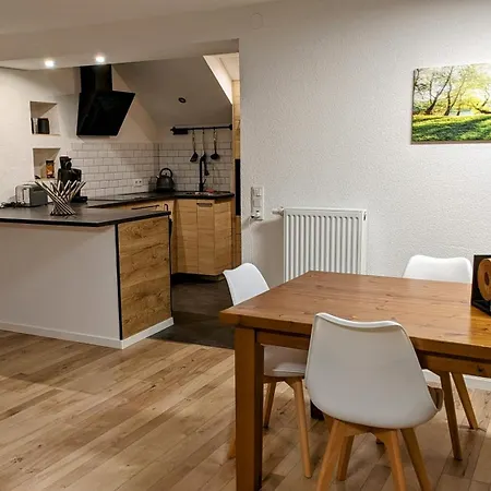 Albbruck/albert 公寓 阿尔布鲁克