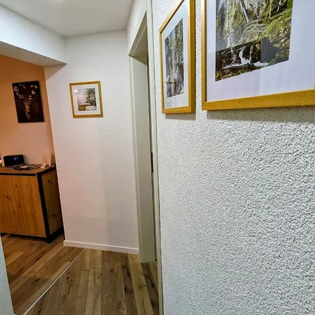 公寓 Albbruck/albert 阿尔布鲁克